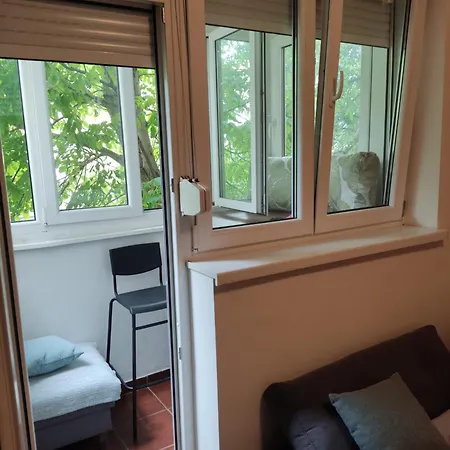 Quiet Center Oasis - In The Shade Of Walnut